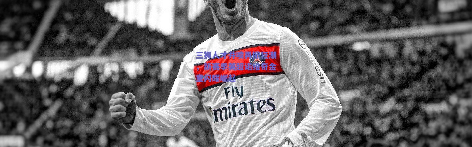 爱游戏中国站_三狮人才井喷再掀狂潮，新赛季英超诺维奇金童闪耀崛起