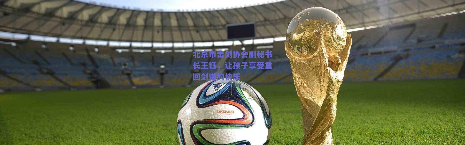 【爱游戏移动官网】北京市击剑协会副秘书长王钰，让孩子享受重回剑道的快乐