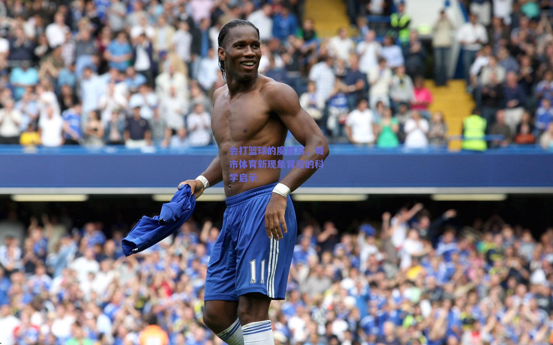 会打篮球的魔都鸟，城市体育新现象背后的科学启示